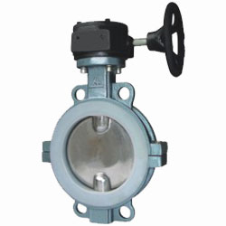 蝸輪對夾半襯氟蝶閥